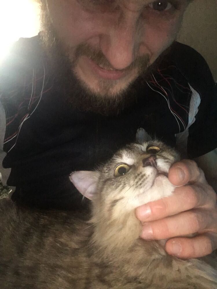 ���������� ���������, ���� ������� ����, 31 ���, ������������ ��� ������, ����� � ���������, c�������� ���������