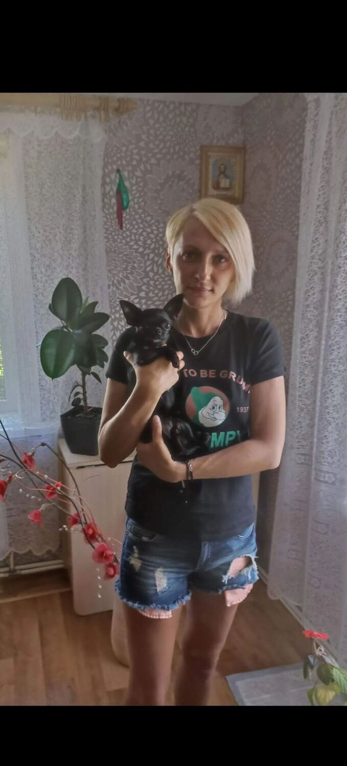 ���� 55886329 ������� ����, 37 ���, ���� ���������� � �������