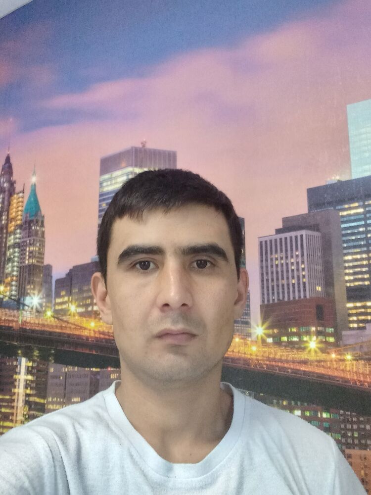  43848379  , 28 ,    