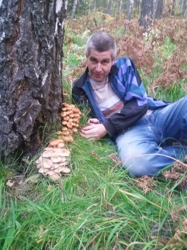  ,   , 53 ,     , c 