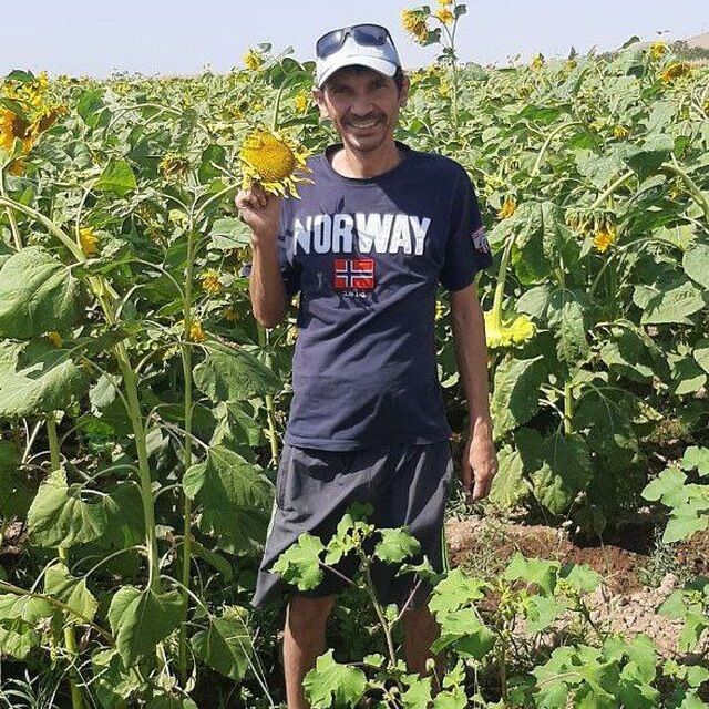 ���� 29340249 ������� ������, 43 ����, ���� ���������� � ��������