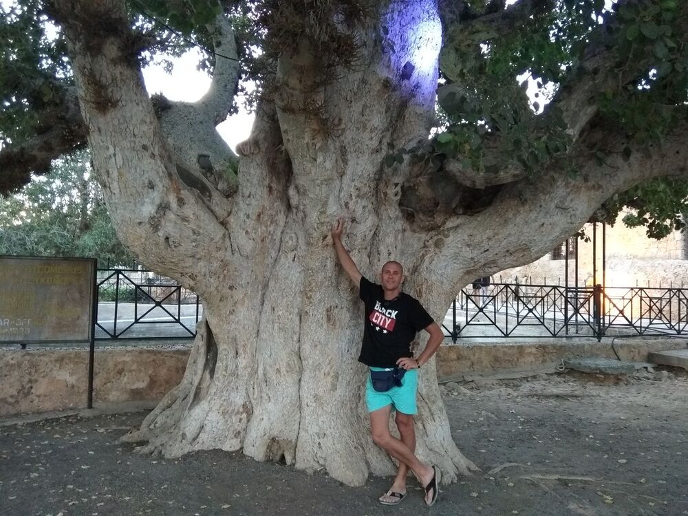 ���������� ������ ���, ���� ������� ��������, 43 ����, ������������ ��� ������