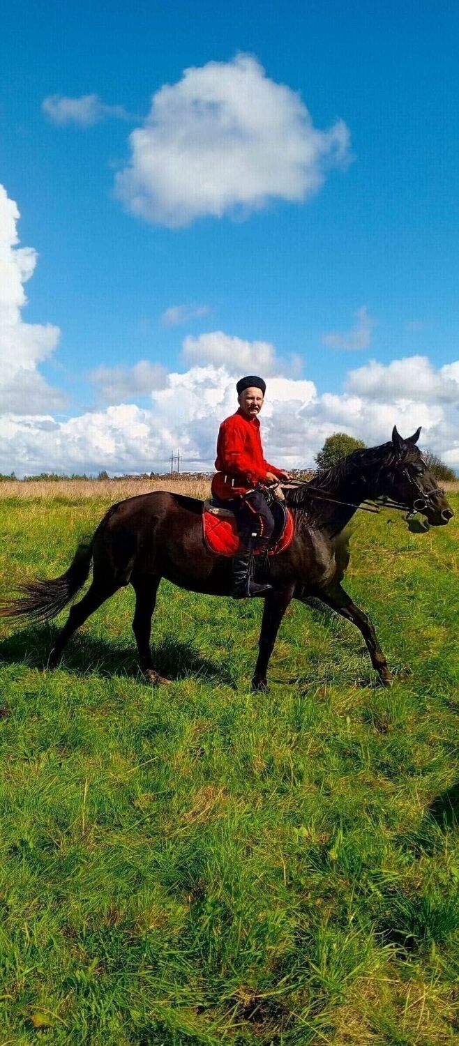 ���� 55300099 ������� ������, 54 ����, ���� ���������� � ������