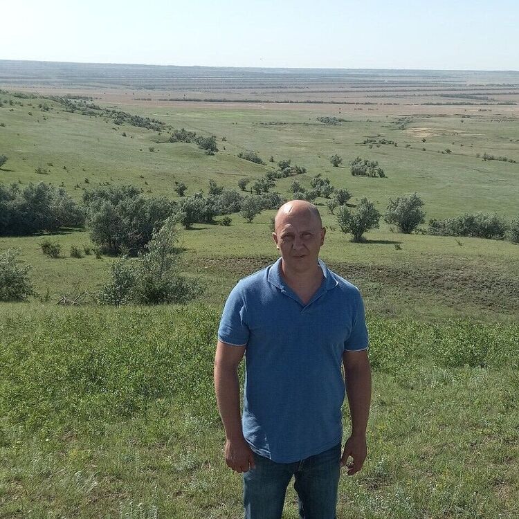 ���� 33722819 ������� ������, 44 ����, ���� ���������� � ����������