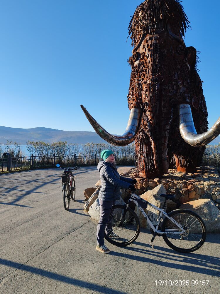 ���������� �������, ���� ������� ����, 54 ����, ������������ ��� c�������� ���������