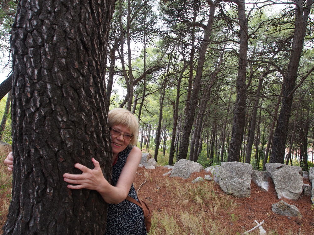 ���������� ����, ���� ������� �������, 66 ���, ������������ ��� ����� � ���������, c�������� ���������