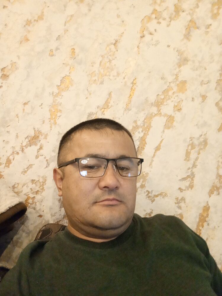  50049279  , 43 ,    