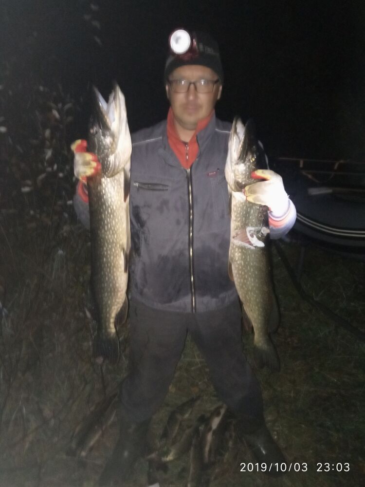 ���������� ������, ���� ������� �����, 38 ���, ������������ ��� ������, ����� � ���������