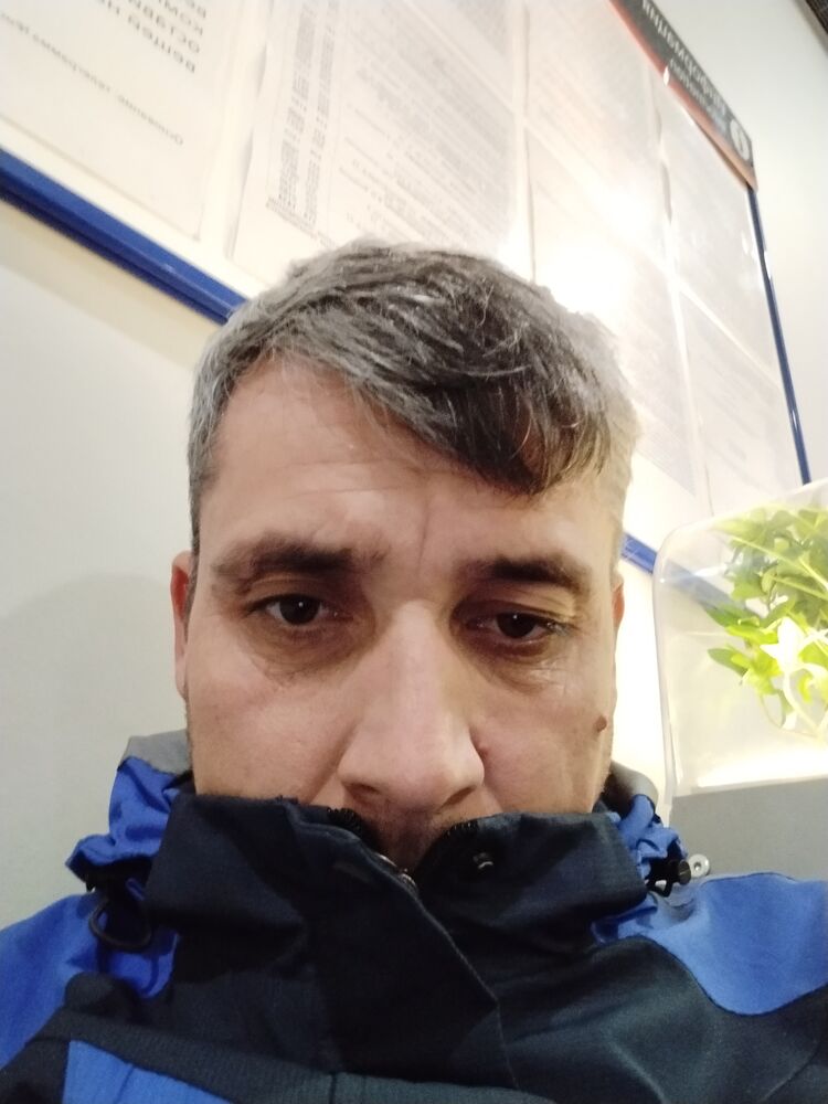 ���� 31120729 ������� ������, 38 ���, ���� ���������� � ���������