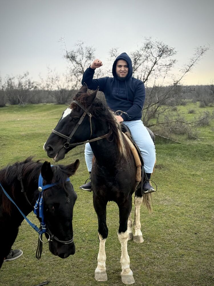 ���� 56006669 ������� �����, 33 ����, ���� ���������� � ����������