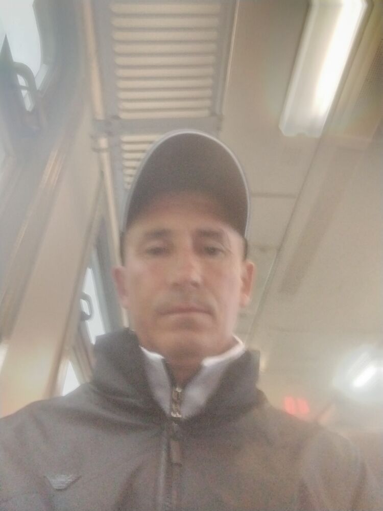  53730409  , 39 ,    