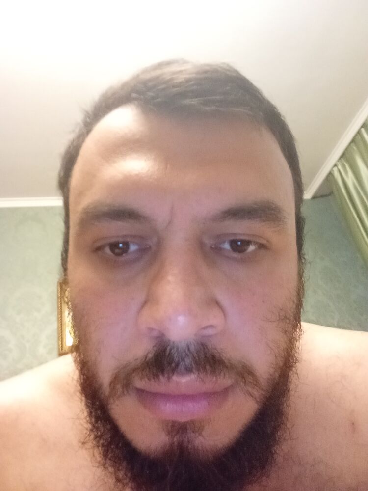  43321739  , 31 ,    