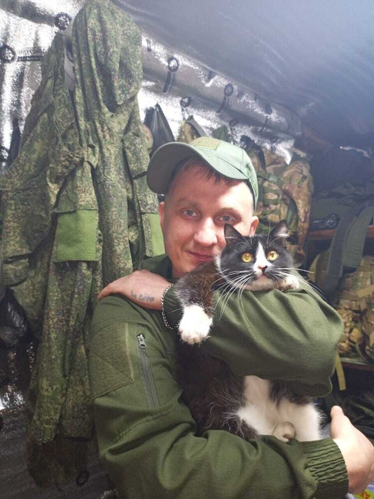 ���������� ��������, ���� ������� ����, 38 ���, ������������ ��� ������, ����� � ���������