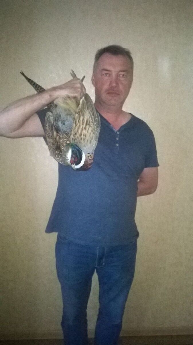 ���������� �����������, ���� ������� ����, 56 ���, ������������ ��� ������