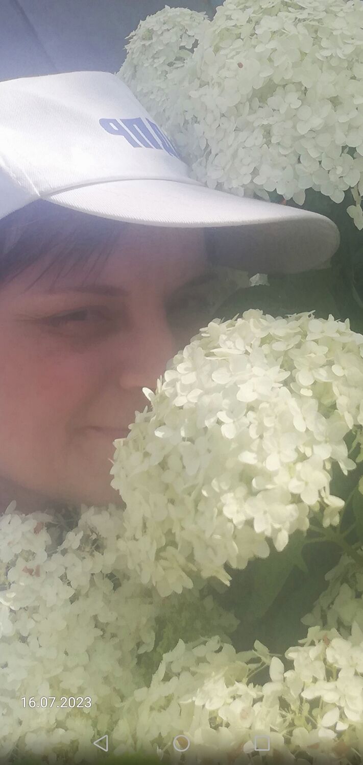 ���� 37123099 ������� ����, 42 ����, ���� ���������� � ������