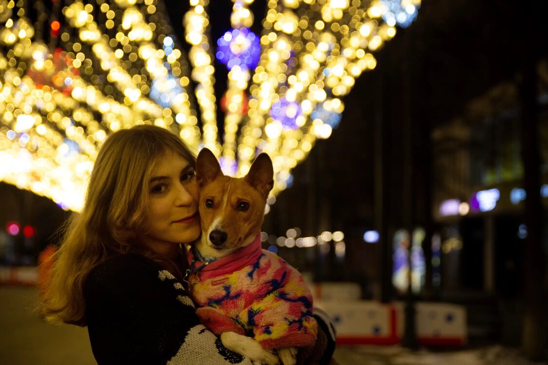 ���� 33497419 ������� ��������, 21 ���, ���� ���������� � ����������