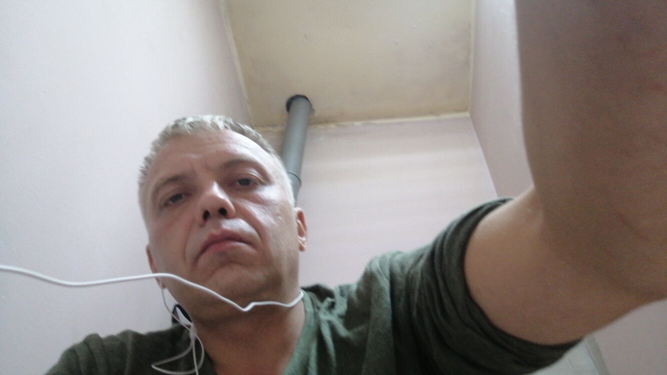 ���� 29073419 ������� ����, 40 ���, ���� ���������� � ������