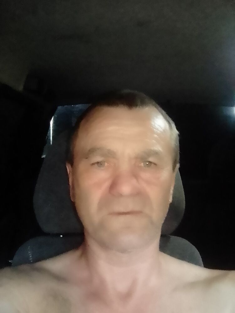  36538079  , 50 ,    