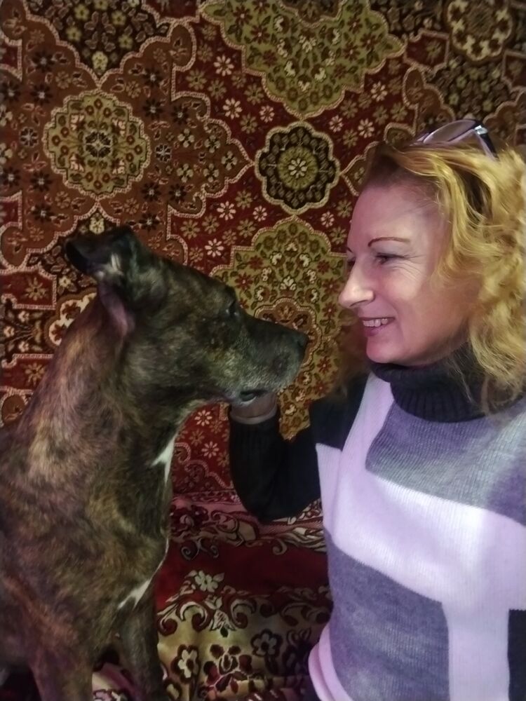 ���������� �������, ���� ������� ������, 50 ���, ������������ ��� ����� � ���������, c�������� ���������, ���������