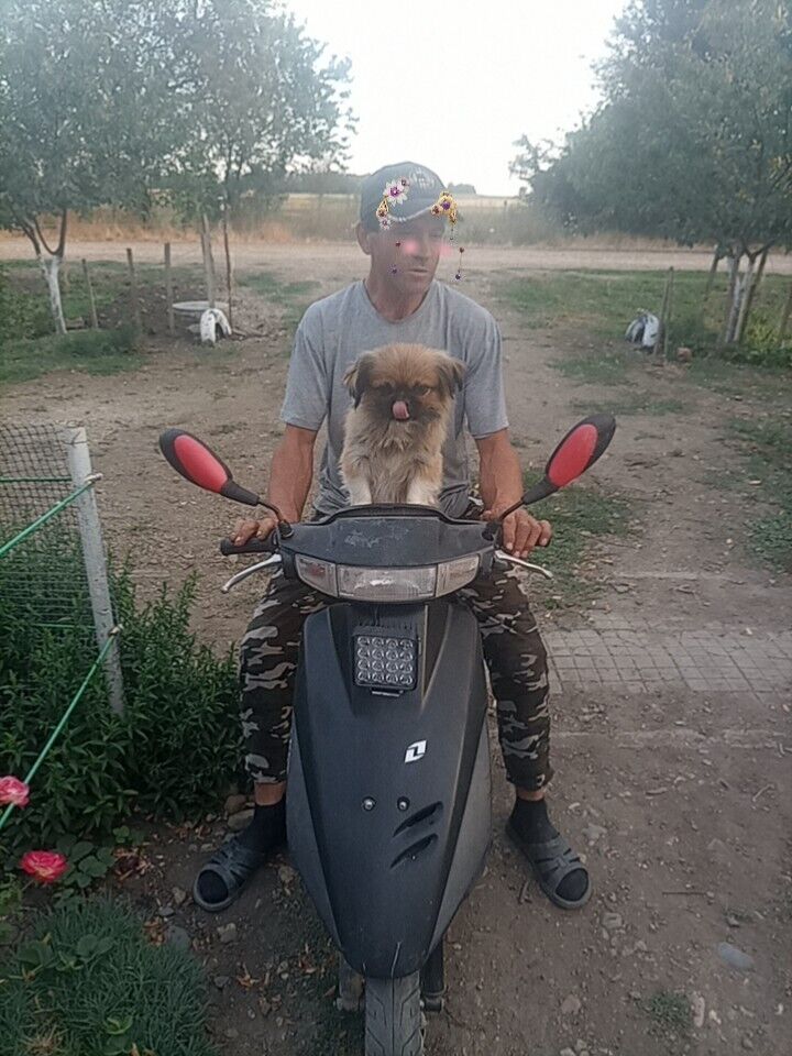  45139989  , 43 ,    