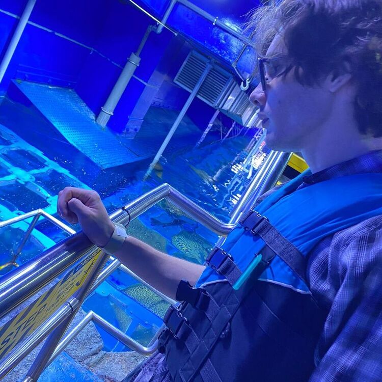 ���� 54843989 ����� ������, 18 ���, ���� ���������� � �����������