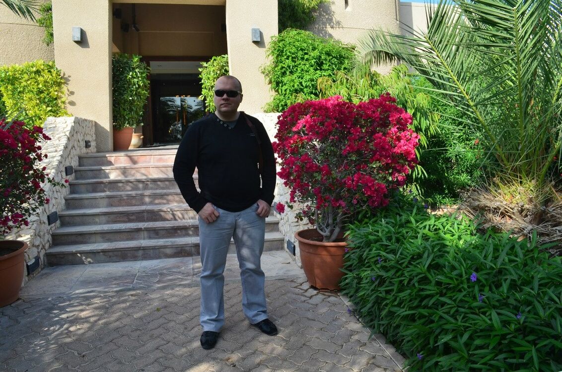 ���� 6513399 ������� Bon, 46 ���, ���� ���������� � ���������