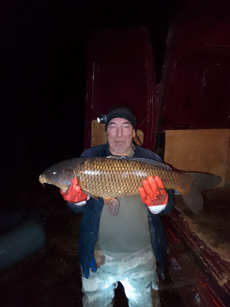 ���������� �������, ���� ������� �������, 50 ���, ������������ ��� ������, ���������