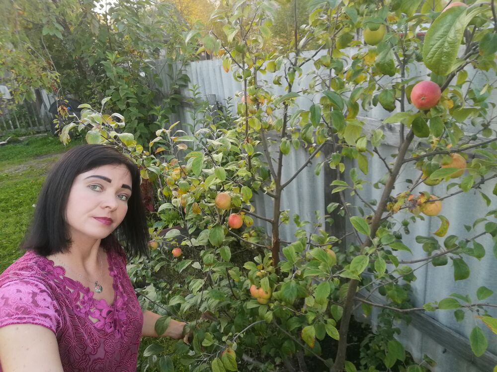 ���������� �����������, ���� ������� ����������, 40 ���, ������������ ��� c�������� ���������