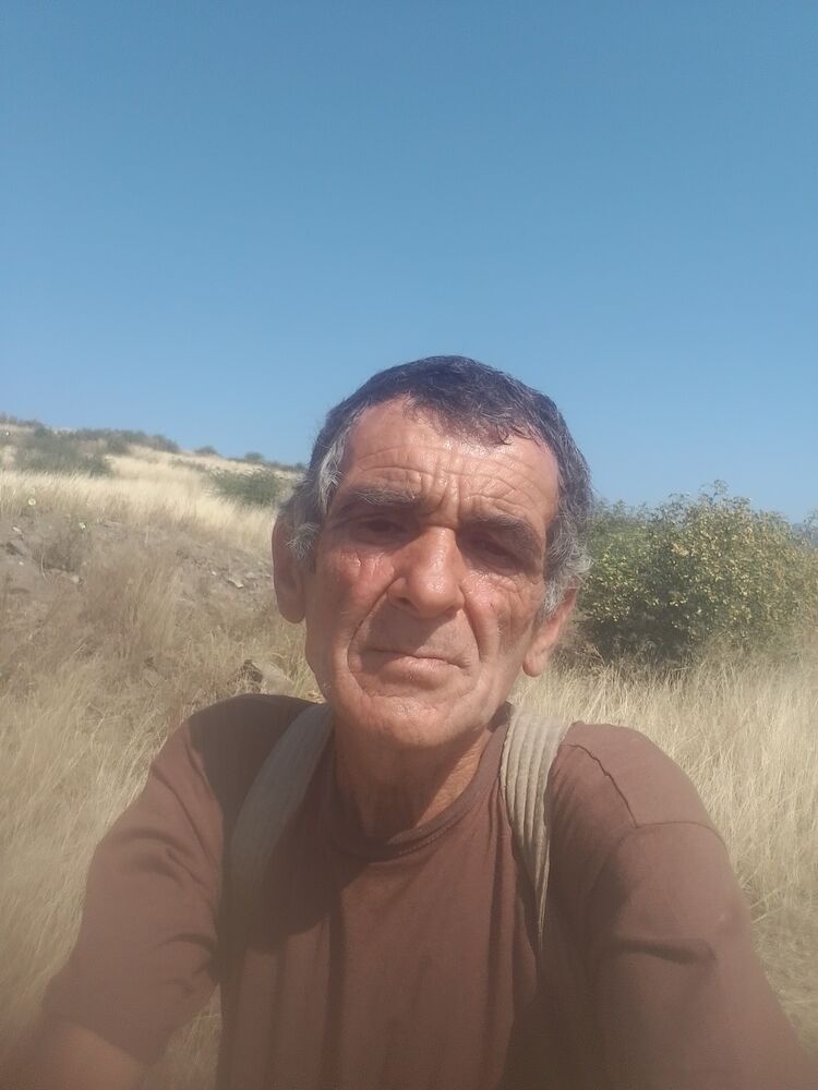 36847959  , 59 ,    