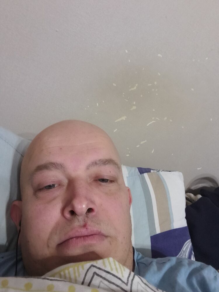  47555809  , 38 ,    