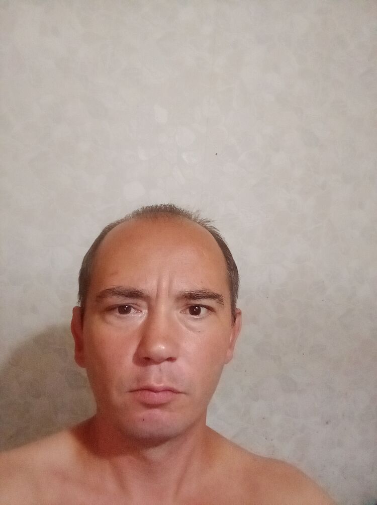  53194549  , 43 ,    
