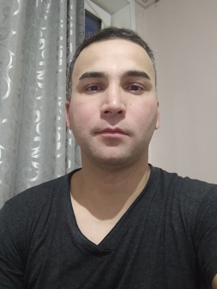  33732769  , 43 ,    
