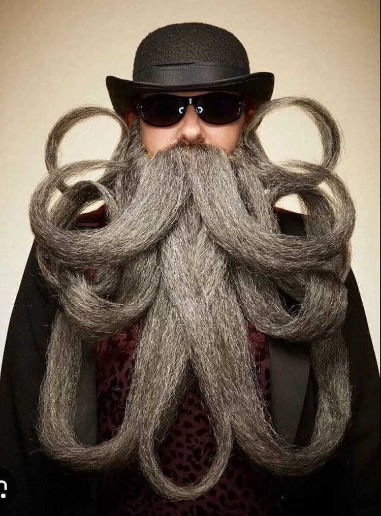 ���� 56254929 ������� ������, 34 ����, ���� ���������� � ����������