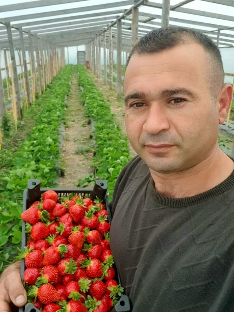 ���� 42184499 ������� �����, 37 ���, ���� ���������� � ������