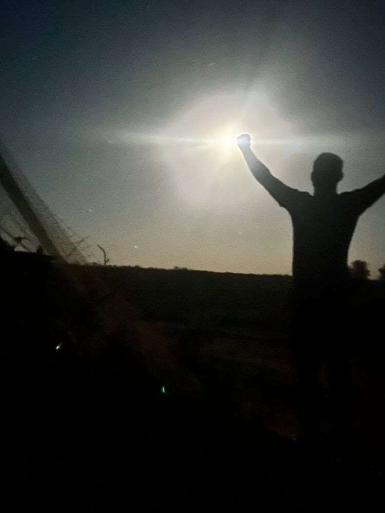 ���������� ���������, ���� ������� ������, 31 ���, ������������ ��� ������, ����� � ���������