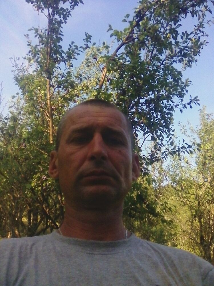  13099959  , 53 ,    