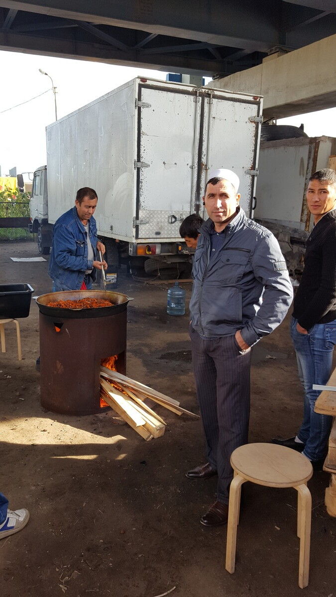  8365869  , 49 ,    -