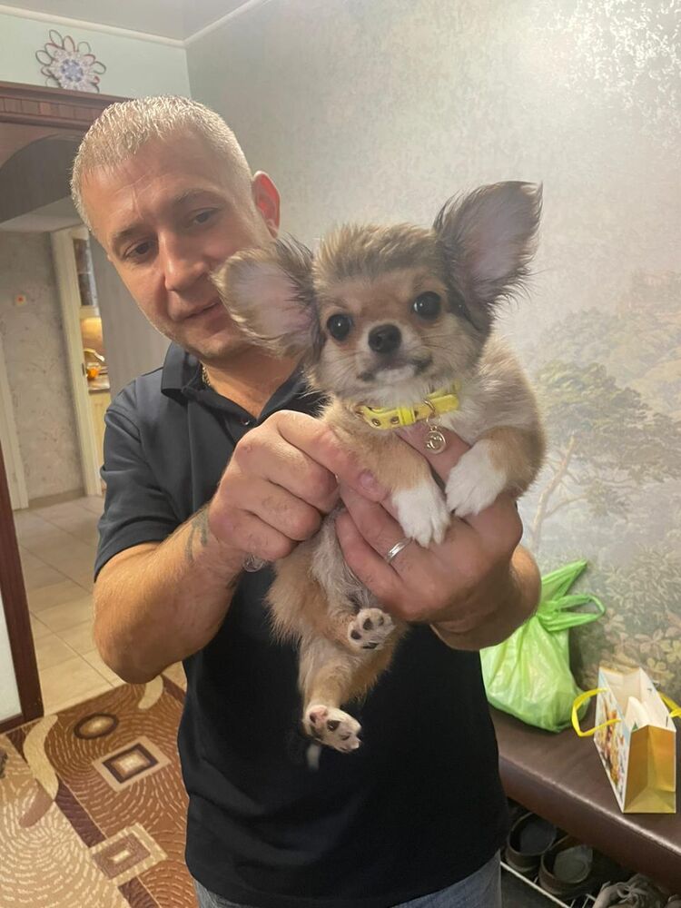  ,   , 41 ,   ,   