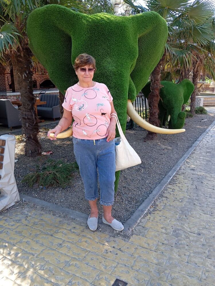 ���������� ������������, ���� ������� ������, 66 ���, ������������ ��� ������, ����� � ���������