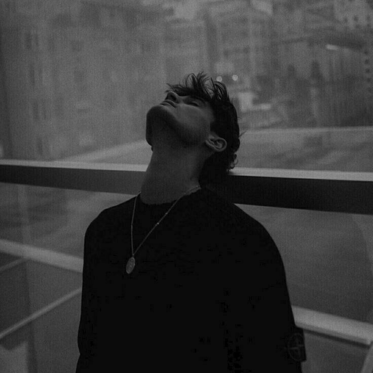 ���� 41728079 ����� CosMos, 25 ���, ���� ���������� � ������