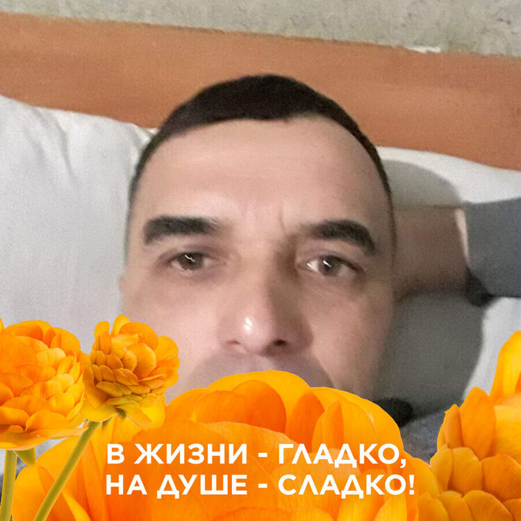  47699459  , 46 ,    