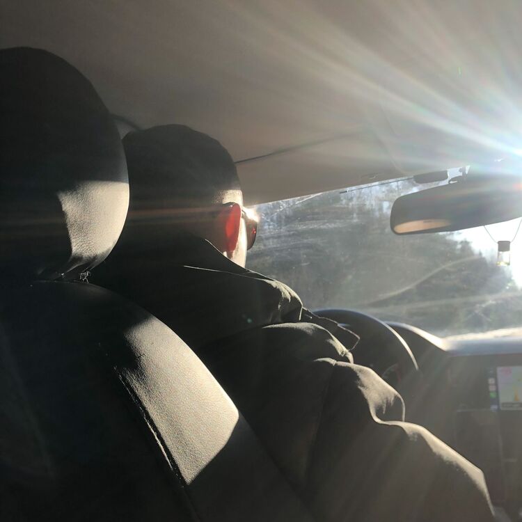 ���� 31851579 ������� ������, 29 ���, ���� ���������� � ��������