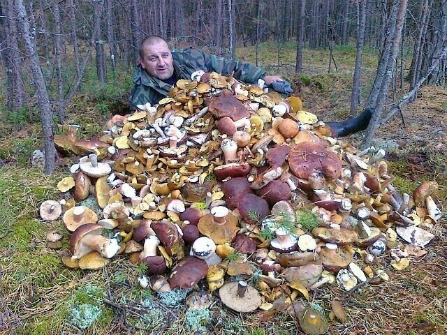 ���� 22489829 ������� �����, 34 ����, ���� ���������� � ������