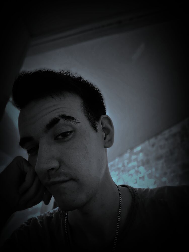 43206459  , 28 ,    