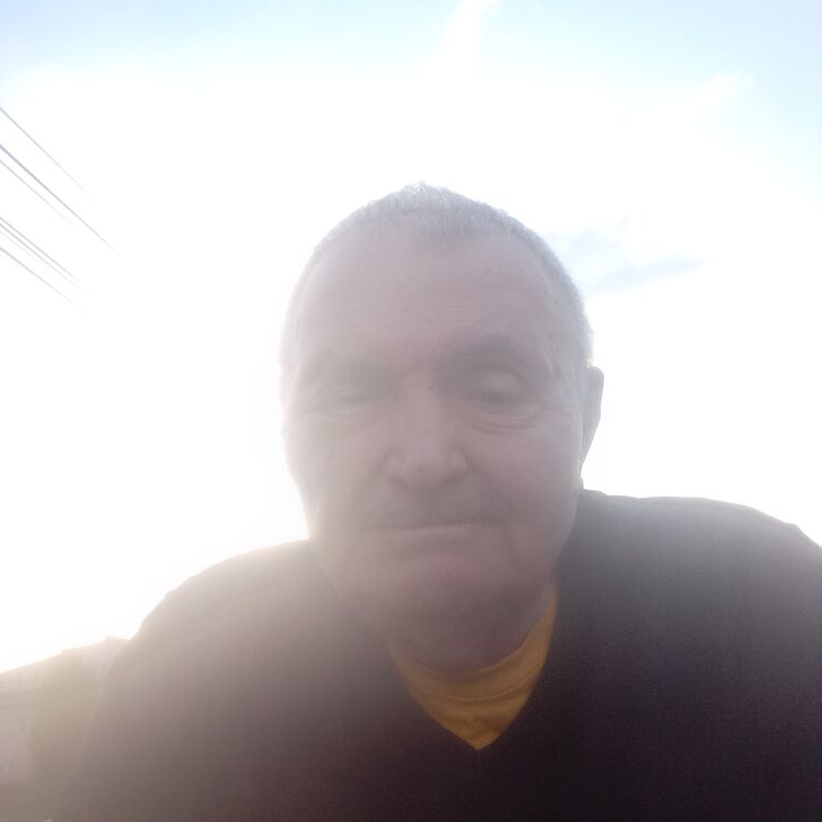  53082749  , 68 ,    