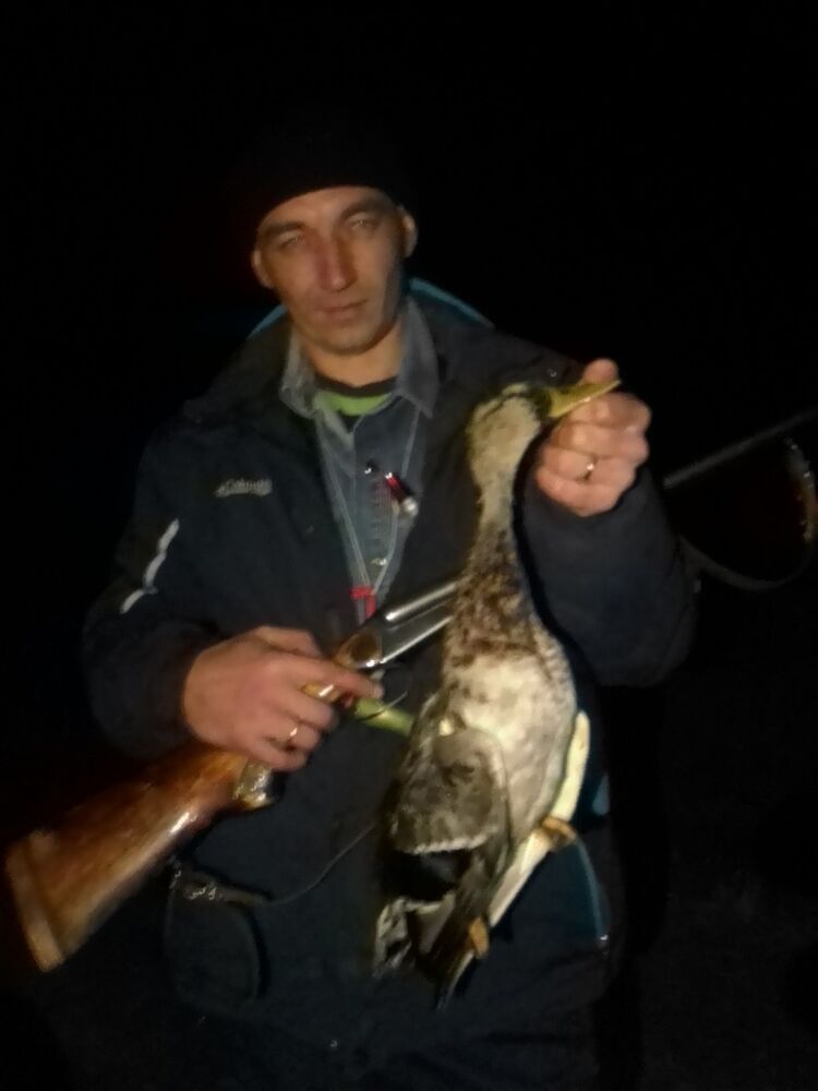 ���������� �����������, ���� ������� �������, 41 ���, ������������ ��� ������, ����� � ���������, c�������� ���������