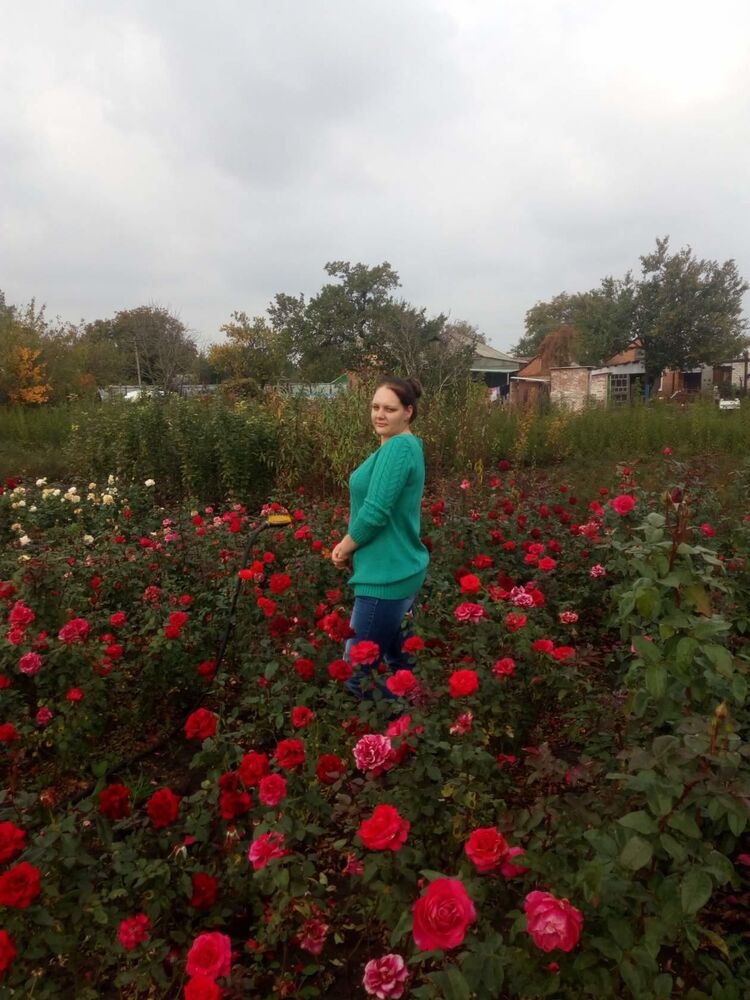  30295809  , 31 ,    --