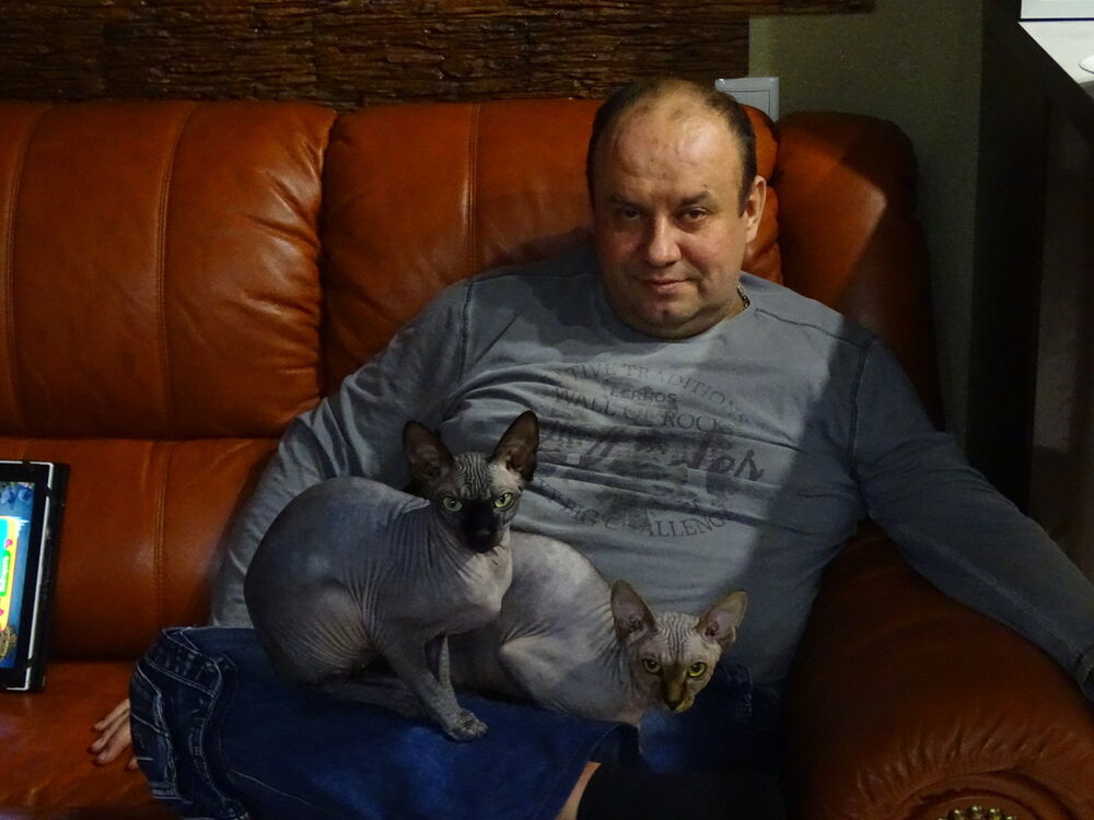 ���� 13322739 ������� ����, 49 ���, ���� ���������� � ���������