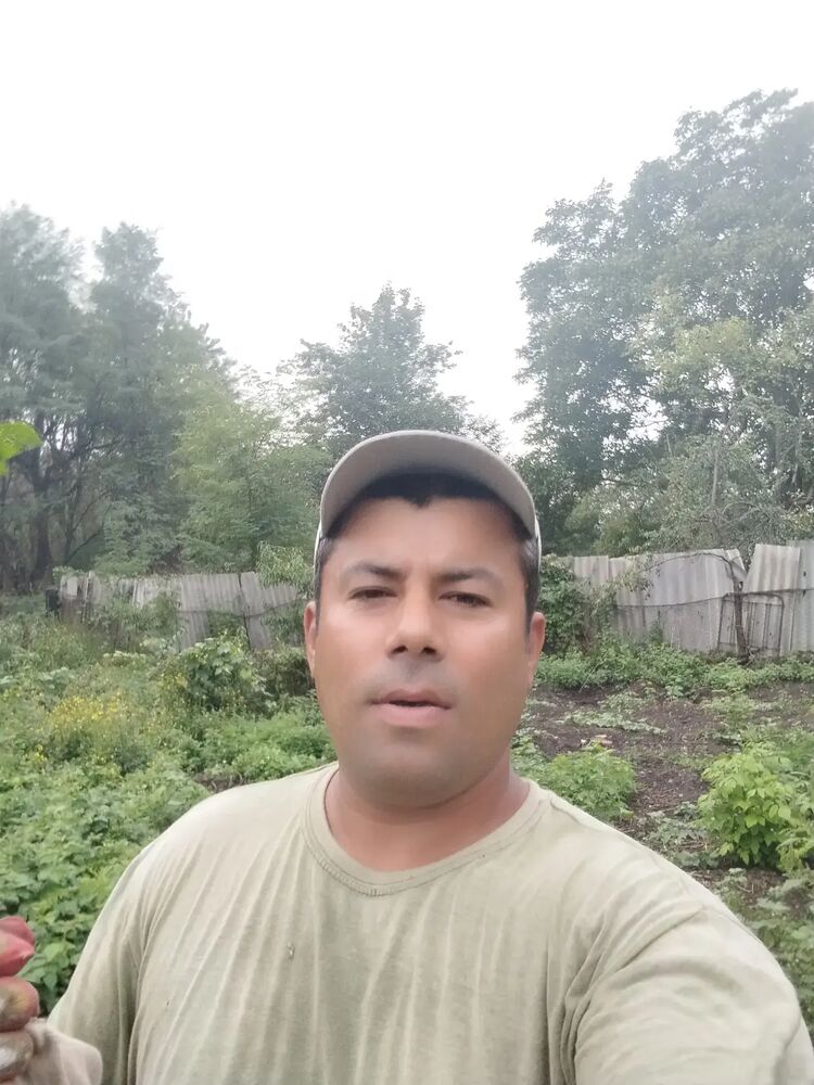  46693669   , 38 ,    