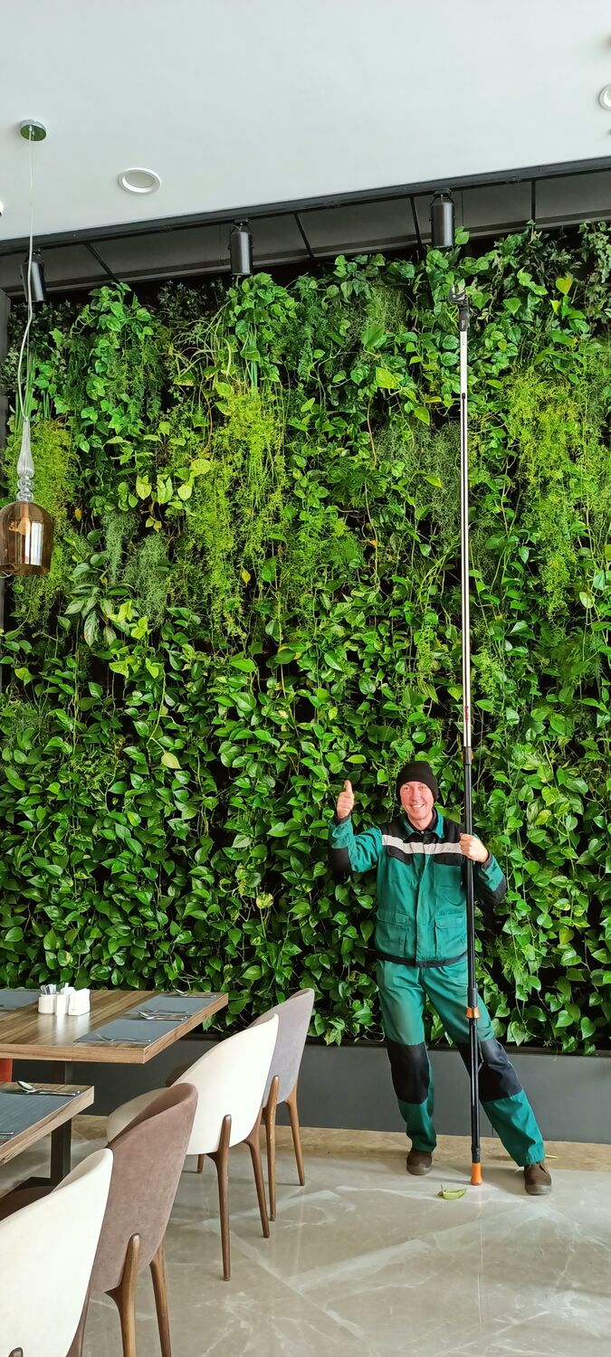 ���� 49609819 ������� �����, 44 ����, ���� ���������� � ����������